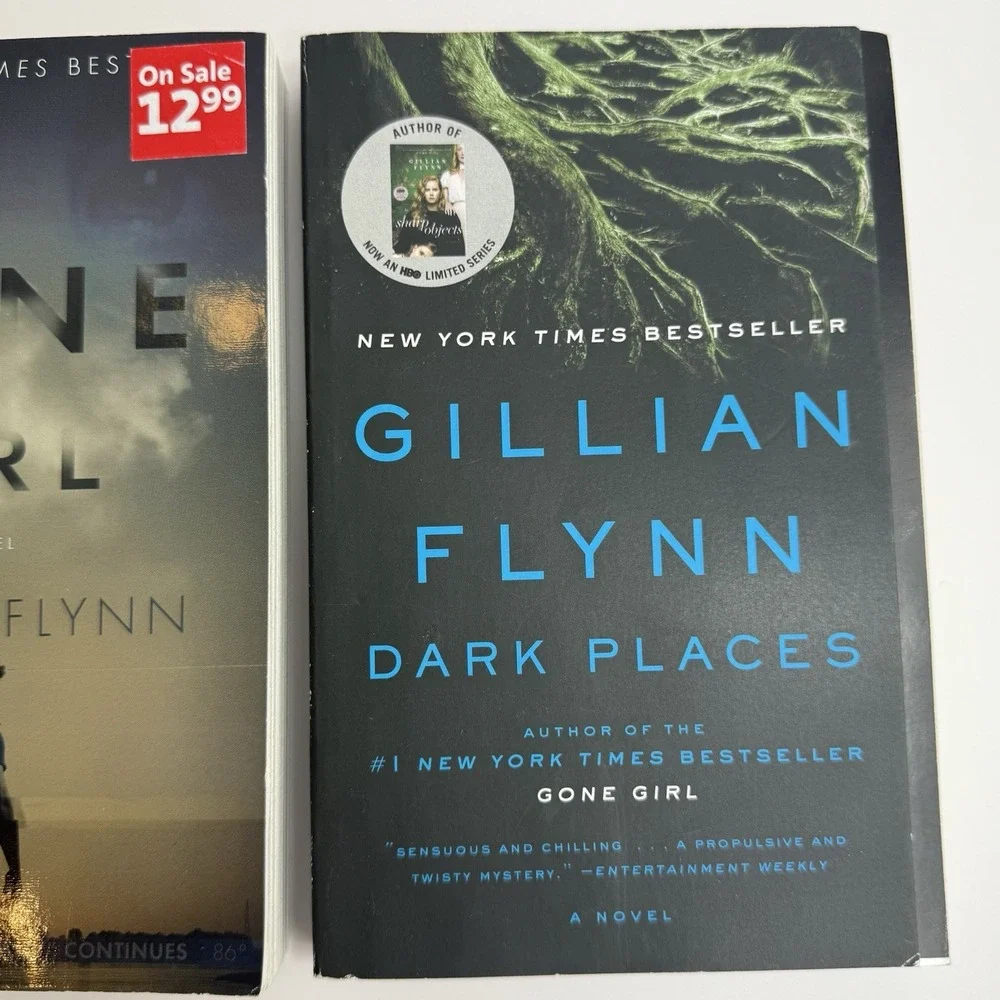 Gillian Flynn Gone Girl First Movie Tie In Dark Places Paperback 2-Book Book Lot